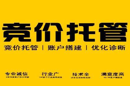 百度竞价推广公司案例：电商行业逆袭之路